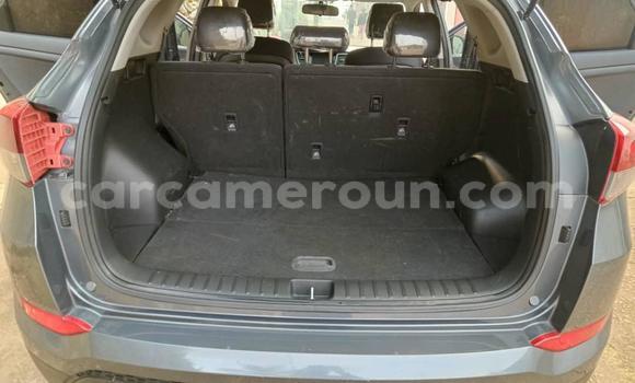 Acheter Occasion Voiture Hyundai Tucson Gris à Yaoundé, Central Cameroon Acheter Occasion Voiture Hyundai Tucson Gris à Yaoundé, Central Cameroon