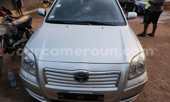 Buy Used Toyota Avensis Silver Car in Yaounde in Central Cameroon Buy Used Toyota Avensis Silver Car in Yaounde in Central Cameroon