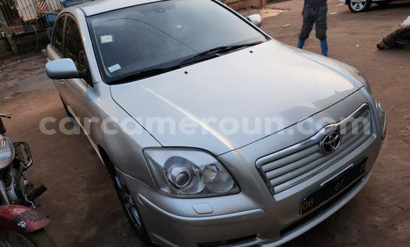 Buy Used Toyota Avensis Silver Car in Yaounde in Central Cameroon Buy Used Toyota Avensis Silver Car in Yaounde in Central Cameroon