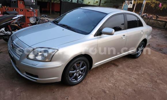 Buy Used Toyota Avensis Silver Car in Yaounde in Central Cameroon Buy Used Toyota Avensis Silver Car in Yaounde in Central Cameroon