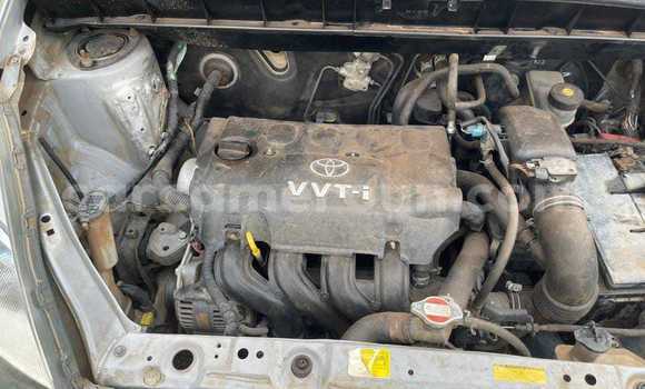 Buy Used Toyota Yaris Verso Silver Car in Yaounde in Central Cameroon Buy Used Toyota Yaris Verso Silver Car in Yaounde in Central Cameroon