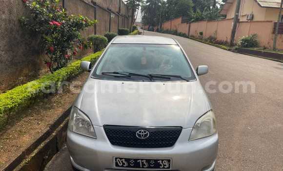 Acheter Occasion Voiture Toyota Corolla Gris à Yaoundé, Central Cameroon Acheter Occasion Voiture Toyota Corolla Gris à Yaoundé, Central Cameroon