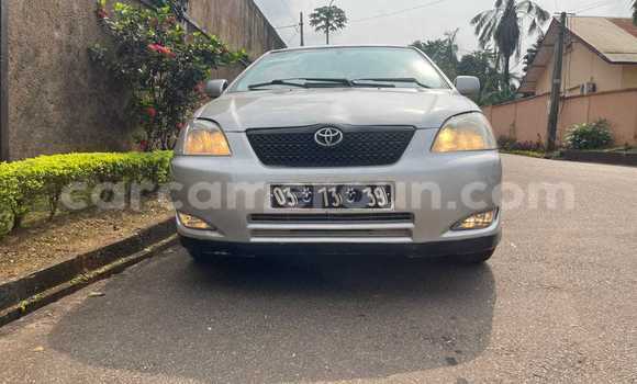 Acheter Occasion Voiture Toyota Corolla Gris à Yaoundé, Central Cameroon Acheter Occasion Voiture Toyota Corolla Gris à Yaoundé, Central Cameroon