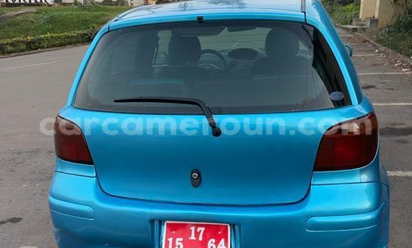Buy Used Toyota Vitz Blue Car in Yaounde in Central Cameroon Buy Used Toyota Vitz Blue Car in Yaounde in Central Cameroon