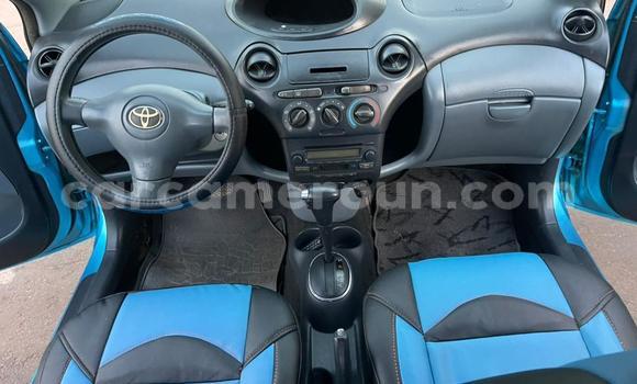 Buy Used Toyota Vitz Blue Car in Yaounde in Central Cameroon Buy Used Toyota Vitz Blue Car in Yaounde in Central Cameroon