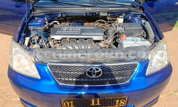 Acheter Occasion Voiture Toyota Corolla Bleu à Yaoundé, Central Cameroon Acheter Occasion Voiture Toyota Corolla Bleu à Yaoundé, Central Cameroon