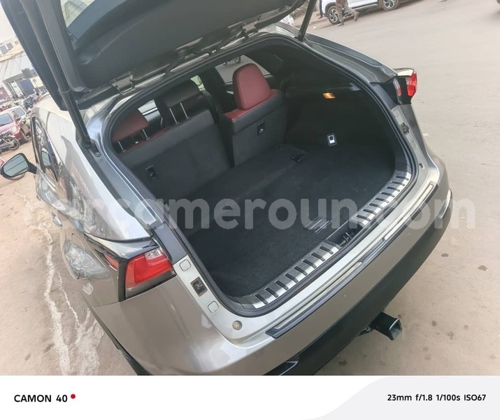 Big with watermark lexus nx littoral cameroon douala 21837