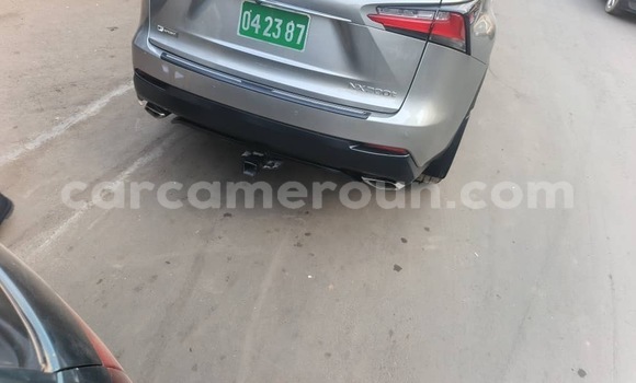 Sayi Imported Lexus NX Azurfa Mota in Douala a Ƙasar Kamaru Sayi Imported Lexus NX Azurfa Mota in Douala a Ƙasar Kamaru
