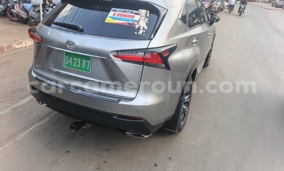 Sayi Imported Lexus NX Azurfa Mota in Douala a Ƙasar Kamaru Sayi Imported Lexus NX Azurfa Mota in Douala a Ƙasar Kamaru