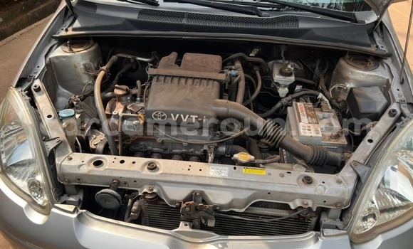 Buy Used Toyota Yaris Brown Car in Yaounde in Central Cameroon Buy Used Toyota Yaris Brown Car in Yaounde in Central Cameroon