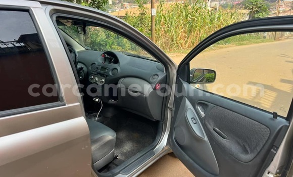 Buy Used Toyota Yaris Brown Car in Yaounde in Central Cameroon Buy Used Toyota Yaris Brown Car in Yaounde in Central Cameroon