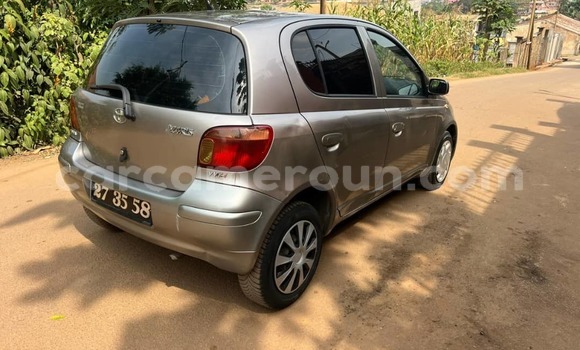 Buy Used Toyota Yaris Brown Car in Yaounde in Central Cameroon Buy Used Toyota Yaris Brown Car in Yaounde in Central Cameroon