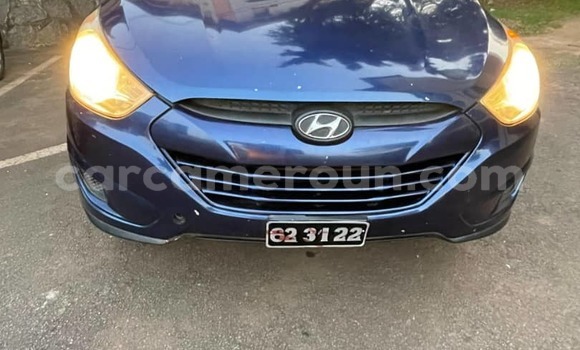 Buy Used Hyundai Tucson Blue Car in Yaounde in Central Cameroon Buy Used Hyundai Tucson Blue Car in Yaounde in Central Cameroon