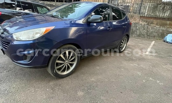 Buy Used Hyundai Tucson Blue Car in Yaounde in Central Cameroon Buy Used Hyundai Tucson Blue Car in Yaounde in Central Cameroon