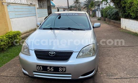 Acheter Occasion Voiture Toyota Corolla Gris à Yaoundé, Central Cameroon Acheter Occasion Voiture Toyota Corolla Gris à Yaoundé, Central Cameroon