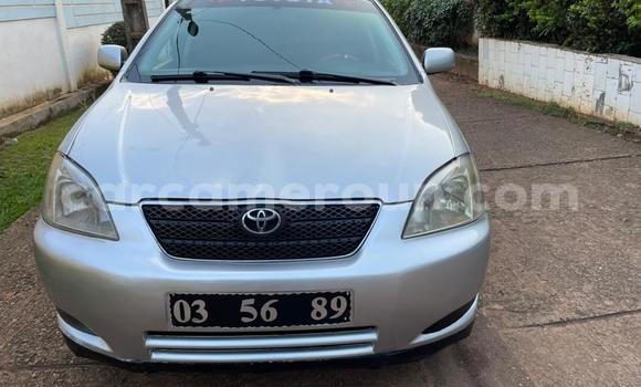 Acheter Occasion Voiture Toyota Corolla Gris à Yaoundé, Central Cameroon Acheter Occasion Voiture Toyota Corolla Gris à Yaoundé, Central Cameroon