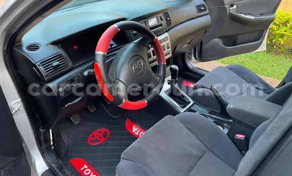 Acheter Occasion Voiture Toyota Corolla Gris à Yaoundé, Central Cameroon Acheter Occasion Voiture Toyota Corolla Gris à Yaoundé, Central Cameroon