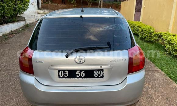 Acheter Occasion Voiture Toyota Corolla Gris à Yaoundé, Central Cameroon Acheter Occasion Voiture Toyota Corolla Gris à Yaoundé, Central Cameroon