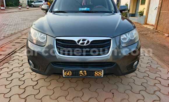 Buy Used Hyundai Santa Fe Silver Car in Yaounde in Central Cameroon Buy Used Hyundai Santa Fe Silver Car in Yaounde in Central Cameroon