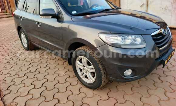 Buy Used Hyundai Santa Fe Silver Car in Yaounde in Central Cameroon Buy Used Hyundai Santa Fe Silver Car in Yaounde in Central Cameroon