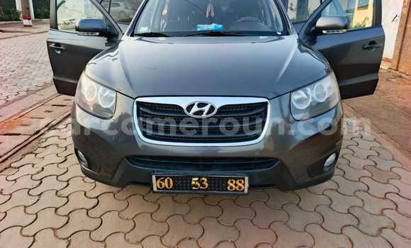 Buy Used Hyundai Santa Fe Silver Car in Yaounde in Central Cameroon Buy Used Hyundai Santa Fe Silver Car in Yaounde in Central Cameroon