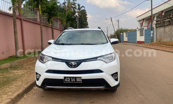 Sayi Na hannu Toyota RAV4 White Mota in Yaounde a Babban Kamaru Sayi Na hannu Toyota RAV4 White Mota in Yaounde a Babban Kamaru