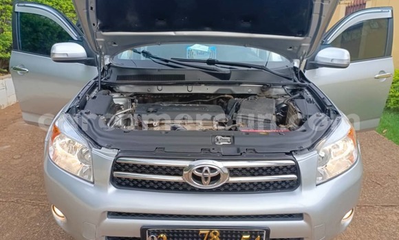 Acheter Occasion Voiture Toyota RAV4 Gris à Yaoundé, Central Cameroon Acheter Occasion Voiture Toyota RAV4 Gris à Yaoundé, Central Cameroon