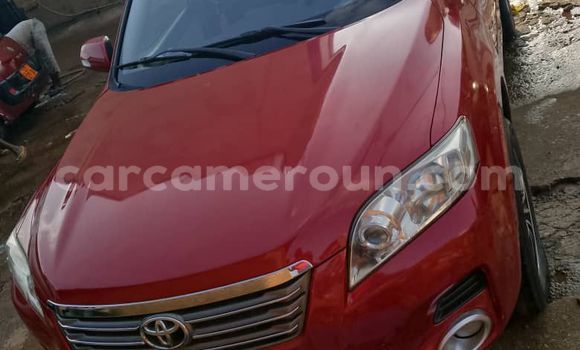 Buy Used Toyota Vanguard Red Car in Yaounde in Central Cameroon Buy Used Toyota Vanguard Red Car in Yaounde in Central Cameroon