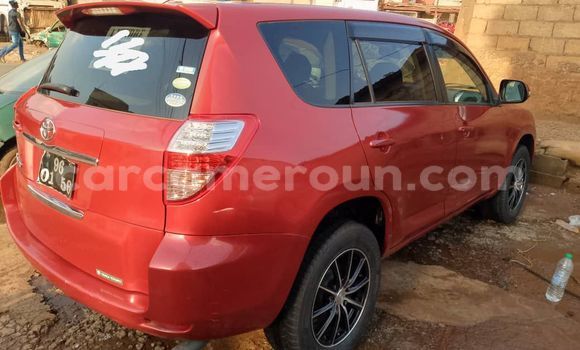 Buy Used Toyota Vanguard Red Car in Yaounde in Central Cameroon Buy Used Toyota Vanguard Red Car in Yaounde in Central Cameroon
