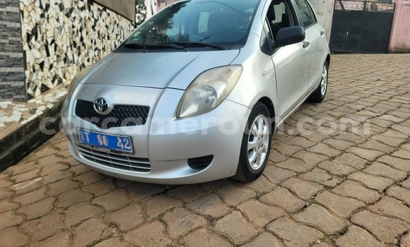 Buy Used Toyota Yaris Silver Car in Yaounde in Central Cameroon Buy Used Toyota Yaris Silver Car in Yaounde in Central Cameroon