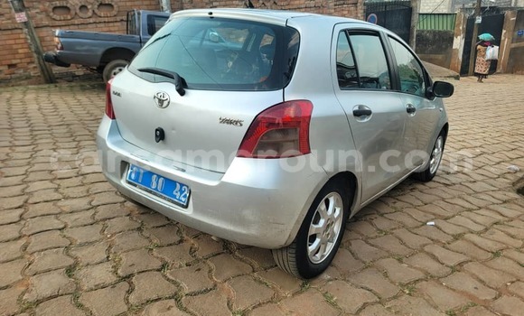 Buy Used Toyota Yaris Silver Car in Yaounde in Central Cameroon Buy Used Toyota Yaris Silver Car in Yaounde in Central Cameroon