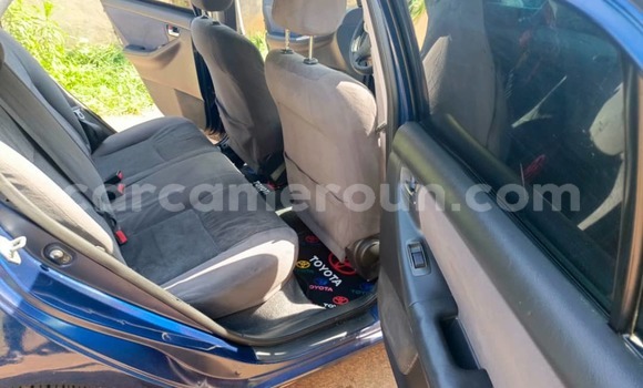 Acheter Occasion Voiture Toyota Corolla Bleu à Yaoundé, Central Cameroon Acheter Occasion Voiture Toyota Corolla Bleu à Yaoundé, Central Cameroon