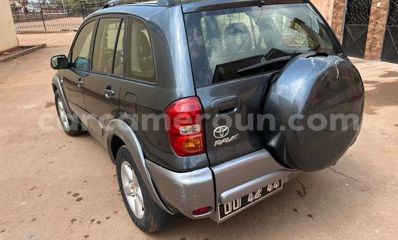 Acheter Occasion Voiture Toyota RAV4 Noir à Yaoundé, Central Cameroon Acheter Occasion Voiture Toyota RAV4 Noir à Yaoundé, Central Cameroon