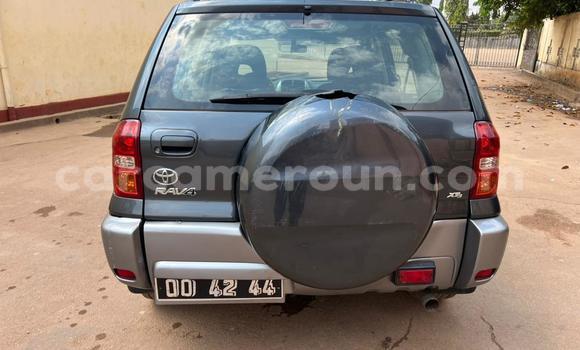 Acheter Occasion Voiture Toyota RAV4 Noir à Yaoundé, Central Cameroon Acheter Occasion Voiture Toyota RAV4 Noir à Yaoundé, Central Cameroon