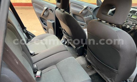 Acheter Occasion Voiture Toyota RAV4 Noir à Yaoundé, Central Cameroon Acheter Occasion Voiture Toyota RAV4 Noir à Yaoundé, Central Cameroon