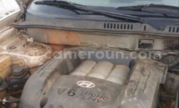 Sayi Na hannu Hyundai Santa Fe Sauran Mota in Douala a Ƙasar Kamaru Sayi Na hannu Hyundai Santa Fe Sauran Mota in Douala a Ƙasar Kamaru