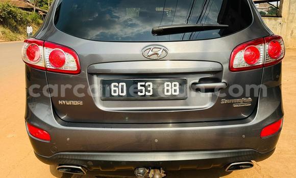 Acheter Occasion Voiture Hyundai Santa Fe Gris à Yaoundé, Central Cameroon Acheter Occasion Voiture Hyundai Santa Fe Gris à Yaoundé, Central Cameroon