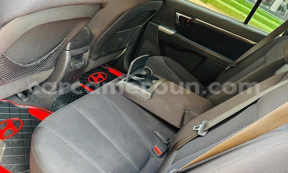 Acheter Occasion Voiture Hyundai Santa Fe Gris à Yaoundé, Central Cameroon Acheter Occasion Voiture Hyundai Santa Fe Gris à Yaoundé, Central Cameroon