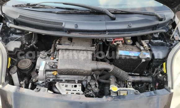 Buy Used Toyota Yaris Black Car in Yaounde in Central Cameroon Buy Used Toyota Yaris Black Car in Yaounde in Central Cameroon