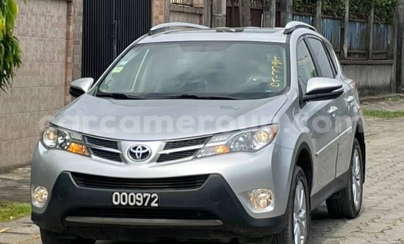 Buy Import Toyota RAV4 Silver Car in Douala in Littoral Cameroon