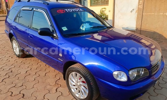 Buy Used Toyota Corolla Blue Car in Yaounde in Central Cameroon Buy Used Toyota Corolla Blue Car in Yaounde in Central Cameroon