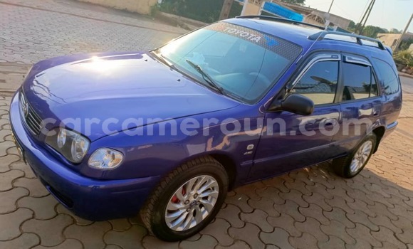 Buy Used Toyota Corolla Blue Car in Yaounde in Central Cameroon Buy Used Toyota Corolla Blue Car in Yaounde in Central Cameroon