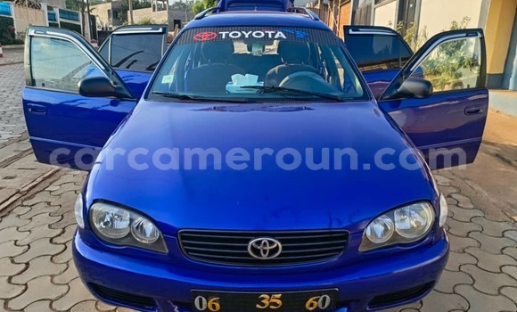 Buy Used Toyota Corolla Blue Car in Yaounde in Central Cameroon Buy Used Toyota Corolla Blue Car in Yaounde in Central Cameroon