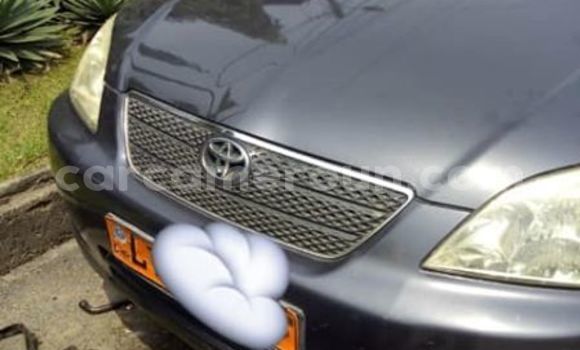Sayi Na hannu Toyota Corolla Sauran Mota in Douala a Ƙasar Kamaru Sayi Na hannu Toyota Corolla Sauran Mota in Douala a Ƙasar Kamaru