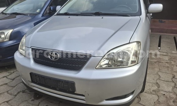 Acheter Occasion Voiture Toyota Corolla Gris à Douala, Littoral Cameroon
