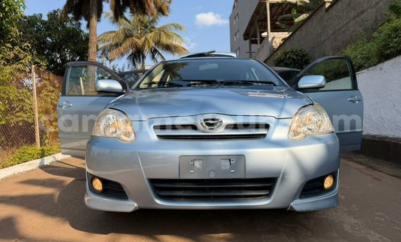 Acheter Occasion Voiture Toyota Runx Gris à Yaoundé, Central Cameroon Acheter Occasion Voiture Toyota Runx Gris à Yaoundé, Central Cameroon