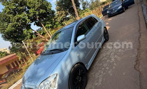 Acheter Occasion Voiture Toyota Runx Gris à Yaoundé, Central Cameroon Acheter Occasion Voiture Toyota Runx Gris à Yaoundé, Central Cameroon