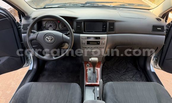 Acheter Occasion Voiture Toyota Runx Gris à Yaoundé, Central Cameroon Acheter Occasion Voiture Toyota Runx Gris à Yaoundé, Central Cameroon