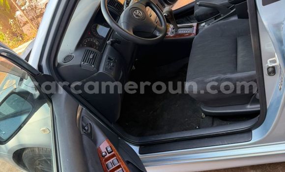 Acheter Occasion Voiture Toyota Runx Gris à Yaoundé, Central Cameroon Acheter Occasion Voiture Toyota Runx Gris à Yaoundé, Central Cameroon