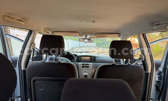 Acheter Occasion Voiture Toyota Runx Gris à Yaoundé, Central Cameroon Acheter Occasion Voiture Toyota Runx Gris à Yaoundé, Central Cameroon